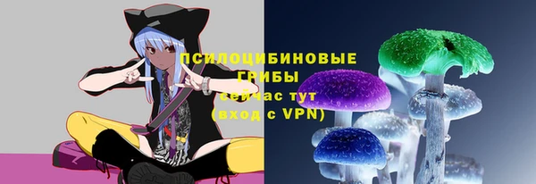 марки nbome Гусев