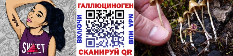 Галлюциногенные грибы мицелий  где купить наркоту  Кизляр 